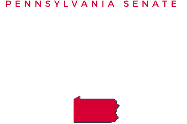 woodin bold for senate-white logo